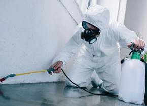 Pest Control Services