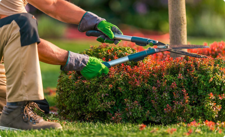 Garden Maintenance Services